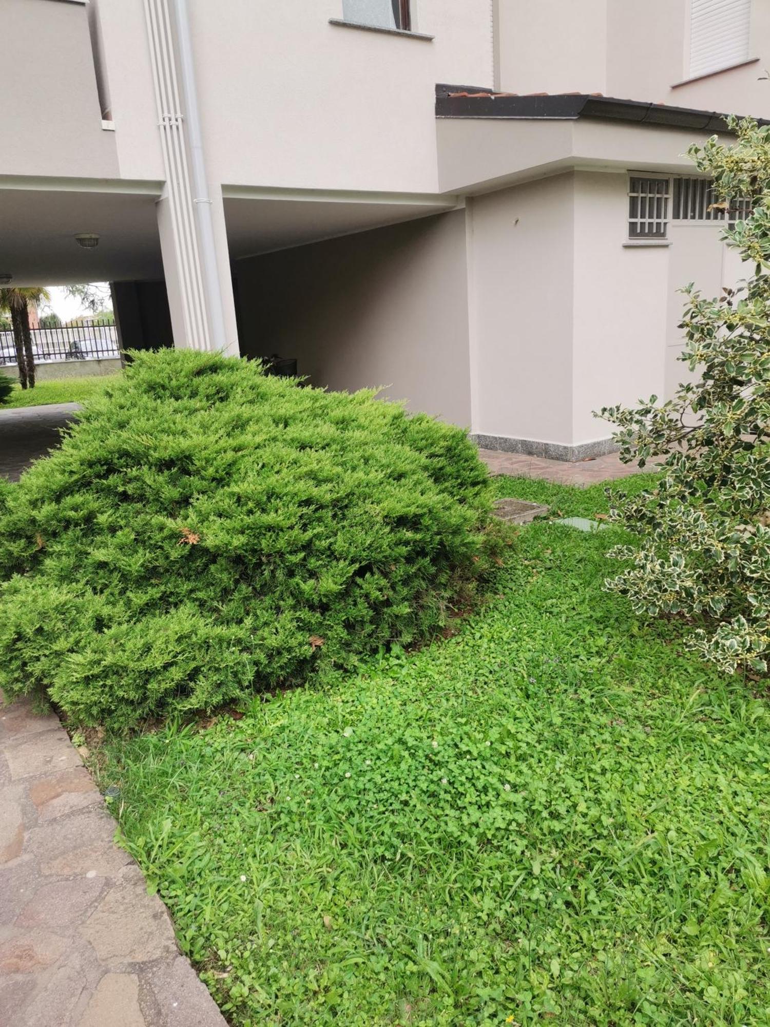 B&B Busto Garolfo المظهر الخارجي الصورة